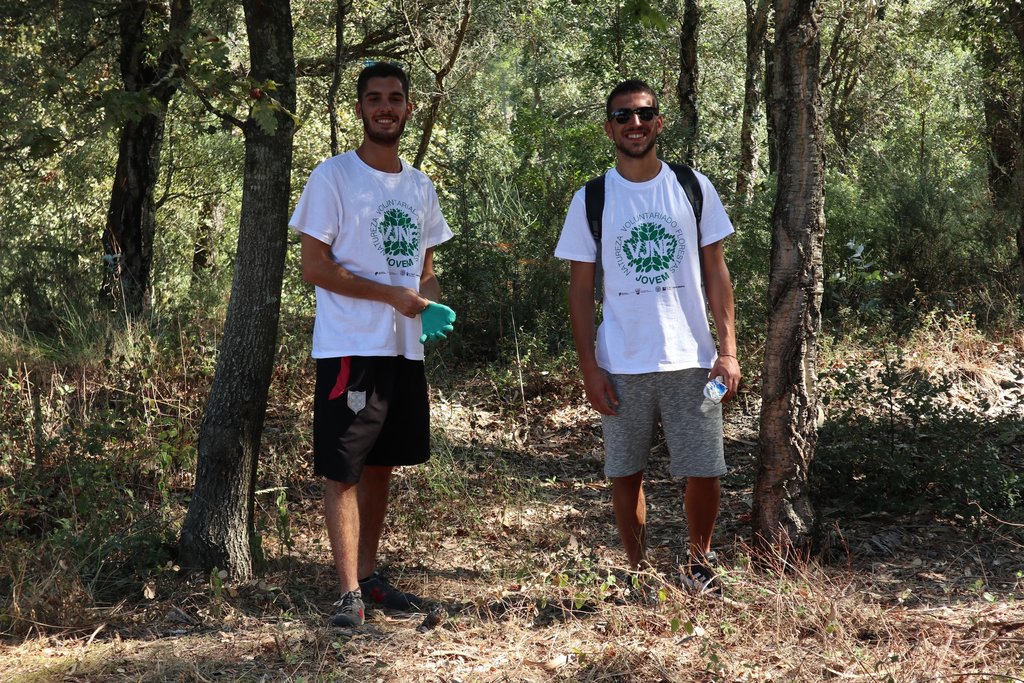 Programa Voluntariado Jovem para a Natureza e Floresta